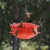 Humm-Bug Protein Hummingbird Feeder -Pet Supplies Store Hum Bug Protein Hummingbird Feeder