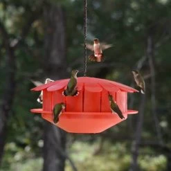 Humm-Bug Protein Hummingbird Feeder