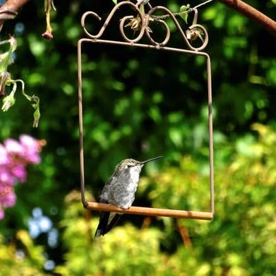 Pop's Hummingbird Swing 3 Pop's Hummingbird Swing
