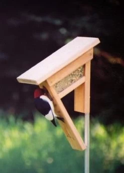Clinger Woodpecker And Peanut Feeder
