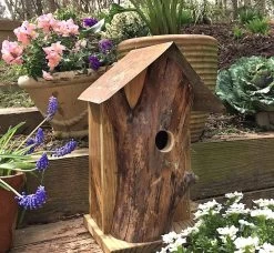 Rustic Log Front Birdhouses- 2 Sizes 17 Rustic Log Front Birdhouses- 2 Sizes -Pet Supplies Store Log Front Birdhouse 3