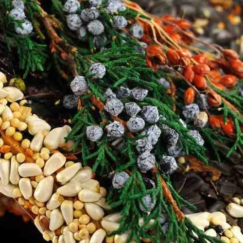 Birdies Bed & Breakfast Chalet 4 Birdies Bed & Breakfast Chalet - Image 2