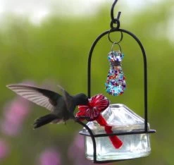 Bouquet Sparkle Hummingbird Feeder -Pet Supplies Store PAR LP SPR