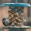 Peanut In Shell Feeder -Pet Supplies Store Peanu In Shell Feeder