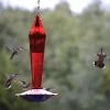 Faceted Glass Hummingbird Feeder 1 Faceted Glass Hummingbird Feeder -Pet Supplies Store Ruby Faceted Glass Hummingbird Feeder