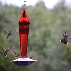 Faceted Glass Hummingbird Feeder