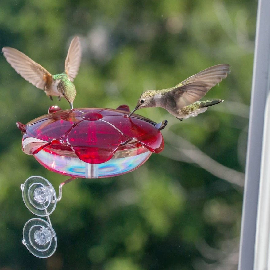 Window Mount Hummingbird Feeder 3 Window Mount Hummingbird Feeder