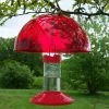 Dr. JB's Clean Hummingbird Feeder & Hummer Helmet