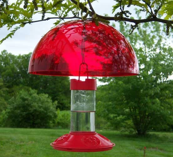 Dr. JB's Clean Hummingbird Feeder & Hummer Helmet 3 Dr. JB's Clean Hummingbird Feeder & Hummer Helmet
