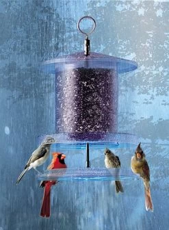 Songbird All-Weather Feeder 4 Or 6 Qt. 10 Songbird All-Weather Feeder 4 Or 6 Qt. -Pet Supplies Store Songbird All Weather Bird Feeder