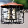 Squirrel Proof Double Suet Feeder 1 Squirrel Proof Double Suet Feeder -Pet Supplies Store Squirrel Proof Suet Feeder