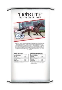 Kalmbach Tribute Accelerate Textured Horse Feed, 50lbs 5 Kalmbach Tribute Accelerate Textured Horse Feed, 50lbs -Pet Supplies Store T912A 2 70786.1680107638