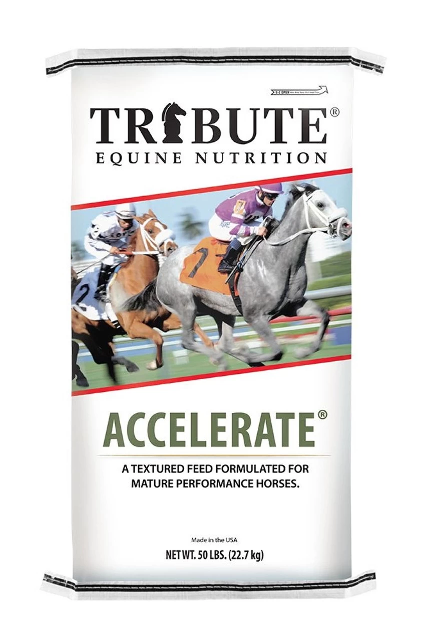 Kalmbach Tribute Accelerate Textured Horse Feed, 50lbs 3 Kalmbach Tribute Accelerate Textured Horse Feed, 50lbs