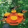 Ultimate Oriole Feeder 2 Ultimate Oriole Feeder -Pet Supplies Store Ultimate Oriole Feeder