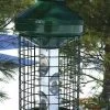 Deluxe Large Capacity Squirrel-Proof Feeder 2 Deluxe Large Capacity Squirrel-Proof Feeder -Pet Supplies Store VCAV1MNP