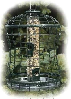 Caged Squirrel Proof Bird Feeder W/ Tray