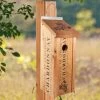 Wine Crate Birdhouse -Pet Supplies Store Wine Crate Gift Birdhouse