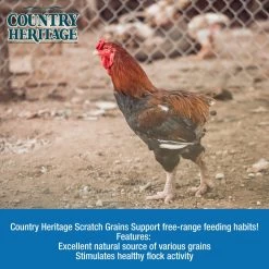 Country Heritage Scratch Grains, 50# Bag 6 Country Heritage Scratch Grains, 50# Bag -Pet Supplies Store api8kqbbj 19676.1581525149