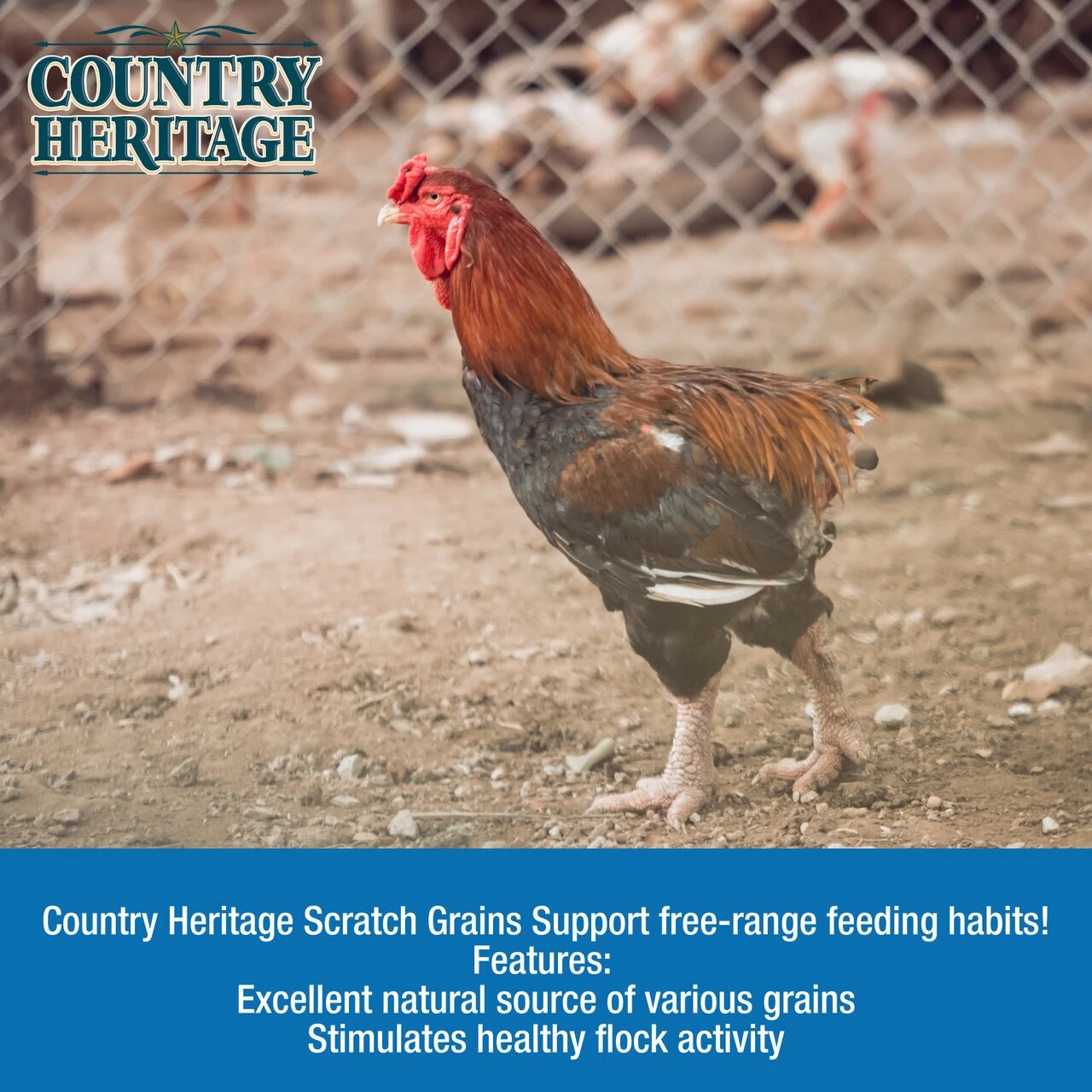 Country Heritage Scratch Grains, 50# Bag 4 Country Heritage Scratch Grains, 50# Bag - Image 2