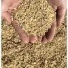 New Country Organics Wheat-Free Layer Feed, 25# Bag 1 New Country Organics Wheat-Free Layer Feed, 25# Bag -Pet Supplies Store apicatkpv 66688.1581525319