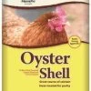 Coastal Oyster Shell 50 Pounds -Pet Supplies Store apihdp1bp 66009.1581525240