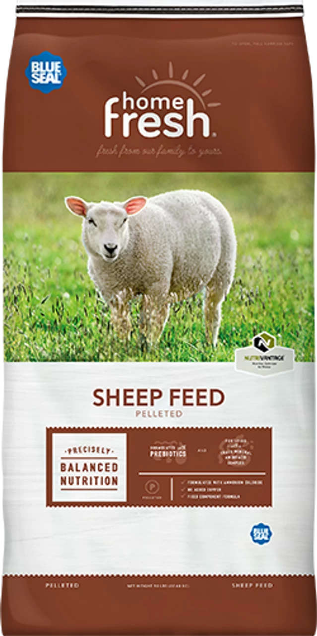 Blue Seal Home Fresh Sheep Starter-Grower Pellets 50 Pounds 3 Blue Seal Home Fresh Sheep Starter-Grower Pellets 50 Pounds