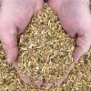 New Country Organics Corn-Free Layer Feed, 50lb Bag -Pet Supplies Store apiiof2xd 01759.1581525076