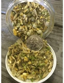 New Country Organics Wheat-Free Layer Feed, 25# Bag -Pet Supplies Store apij5yaxs 15889.1581525320