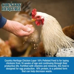Country Heritage Egg Layer Pellet 16% Chicken Feed 50 Pounds -Pet Supplies Store apilh5wzd 70009.1581525163
