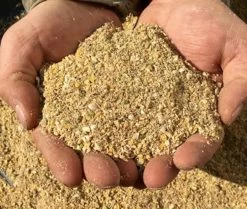 New Country Organics No-Soy Starter Feed, 40lb Bag