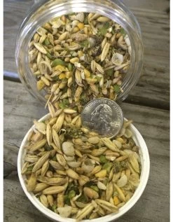 New Country Organics Corn-Free Layer Chicken Feed, 25 Lb. Bag 6 New Country Organics Corn-Free Layer Chicken Feed, 25 Lb. Bag -Pet Supplies Store apin0jjcc 69100.1581525320