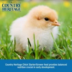 Country Heritage Chick Starter/Grower 18% Crumble 50 Pounds -Pet Supplies Store apitcm2wr 96925.1581525070