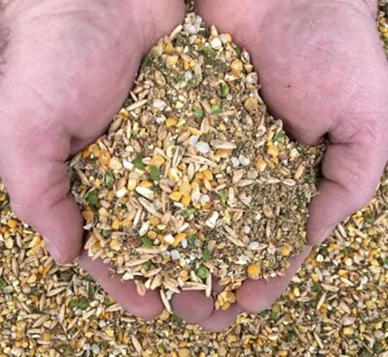 New Country Organics Grower/Broiler Feed, 40 Lb. Bag 3 New Country Organics Grower/Broiler Feed, 40 Lb. Bag