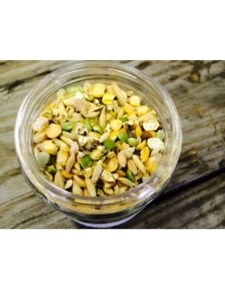 New Country Organics Soy-Free Layer Feed, 25lb Bag -Pet Supplies Store apiy6lbu9 63107.1581525320