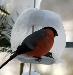 Euro Bird Feeder Kit