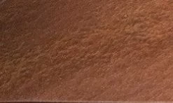 Pet Supplies Store 3 Pet Supplies Store -Pet Supplies Store copper roof