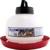 Top-Fill Poultry Waterer, 3 Gallon -Pet Supplies Store farmtufftopfill3galwaterer