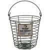 Free Range Large Egg Basket -Pet Supplies Store harrisfarmseggbasket