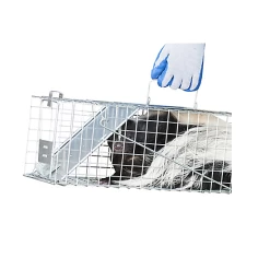 Havahart® Medium 1-Door Trap 11 Havahart® Medium 1-Door Trap -Pet Supplies Store havahart 1078 4