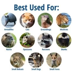 Havahart® Large 2-Door Animal Trap -Pet Supplies Store havahart trap 1045 3