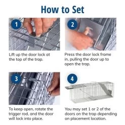 Havahart® Large 2-Door Animal Trap -Pet Supplies Store havahart trap 1045 5