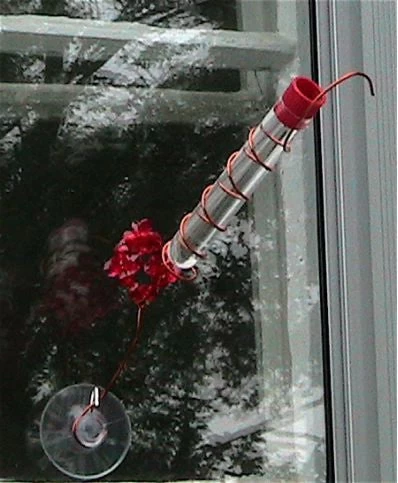 Charmer Hand-Held Hummingbird Feeder Set 6 Charmer Hand-Held Hummingbird Feeder Set - Image 4