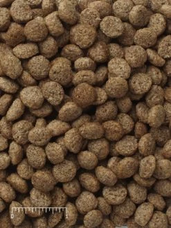 Mazuri Kangaroo Wallaby Diet 5Z88 40 Pounds 5 Mazuri Kangaroo Wallaby Diet 5Z88 40 Pounds -Pet Supplies Store kangarro 04095.1533306099