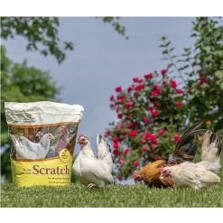 Manna Pro Scratch Grains, 10 Lb. -Pet Supplies Store mannaproscratchoutside2