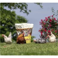 Manna Pro Scratch Grains, 10 Lb. -Pet Supplies Store mannaproscratchoutside3