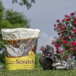 Manna Pro Scratch Grains, 10 Lb. -Pet Supplies Store mannaproscratchoutside4