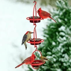 Red Orb With Perch Hummingbird Feeder 9 Red Orb With Perch Hummingbird Feeder -Pet Supplies Store orb with perch multi use bird feeder