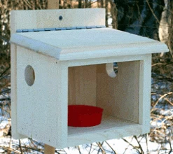 Post Mount Wooden Bluebird Feeder