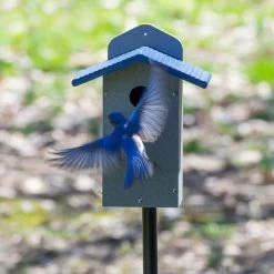 Recycled Bluebird House
