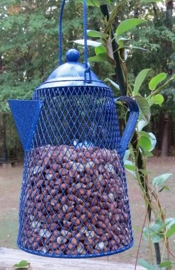 Pet Supplies Store 16 Pet Supplies Store -Pet Supplies Store shelled peanut bird feeder